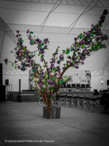 Universidad Politécnica impulsa cultura ambiental con Reciclatón 2026